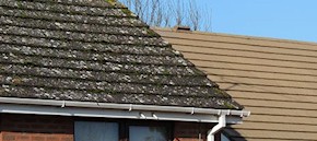 Gutter and roof cleaning in Leatherhead and Ashtead